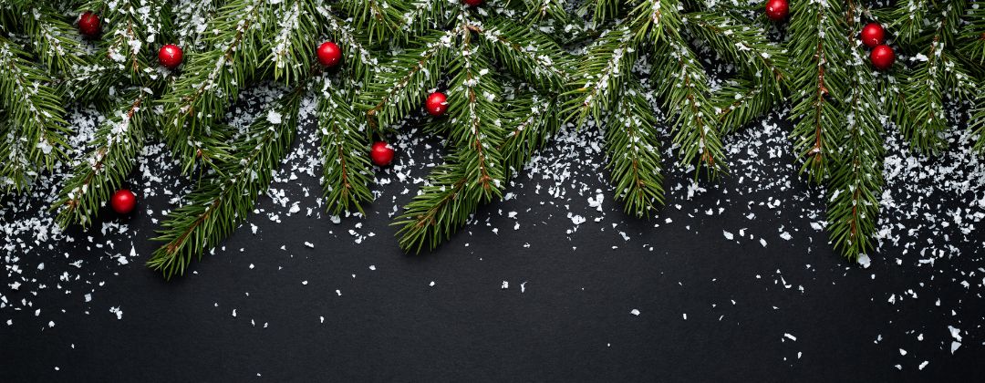 greenery on a black background