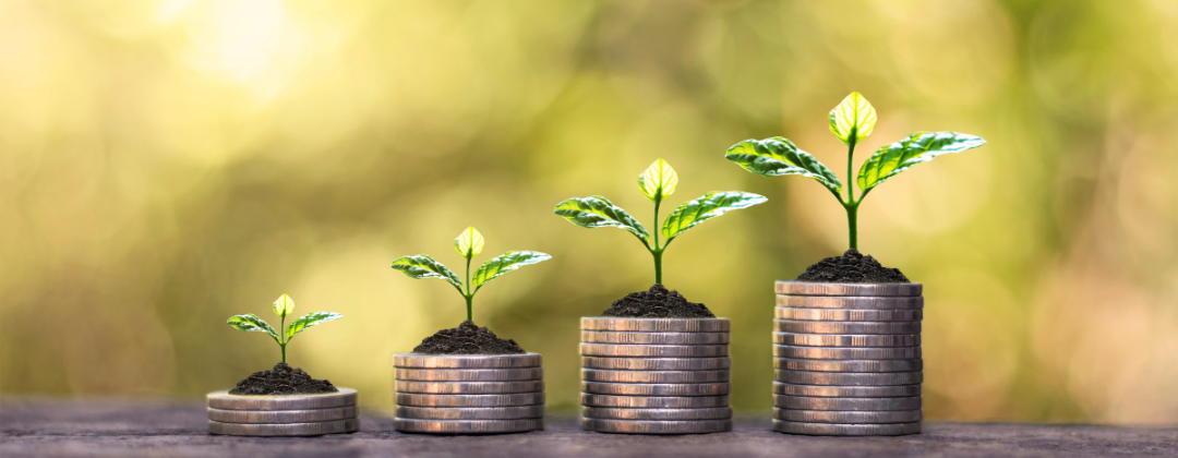 four stacks of coins with plants and dirt on top showing increasing growth.