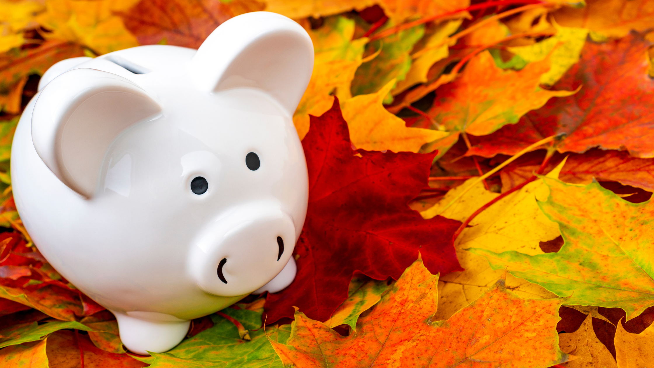 White piggy bank in fall-colored leaves