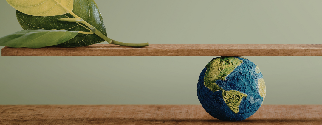 earth, and a leaf on a board.